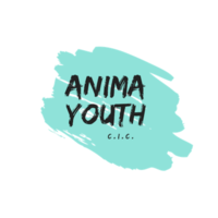 Anima Youth BigSisLilSis Mentoring Project